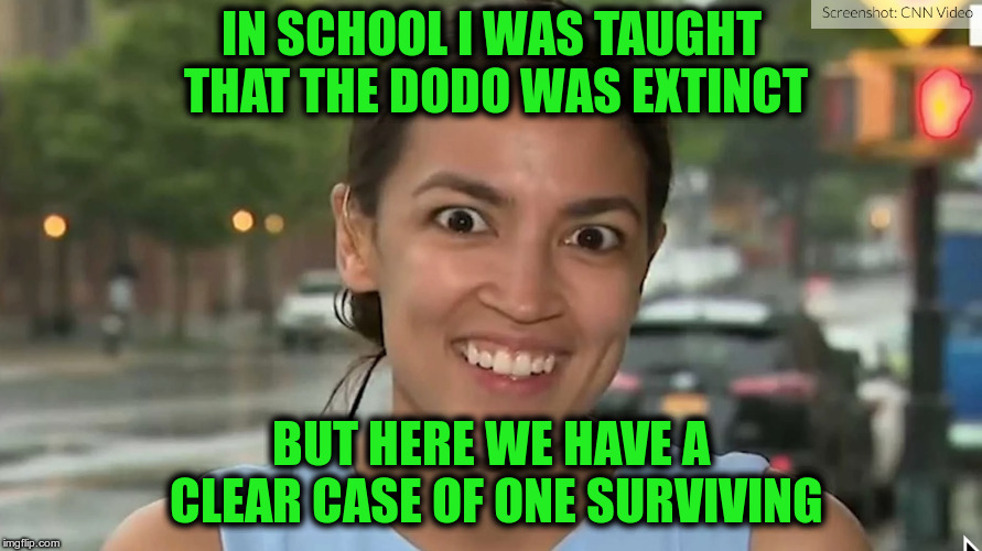 AOC is amazing!
 | IN SCHOOL I WAS TAUGHT THAT THE DODO WAS EXTINCT; BUT HERE WE HAVE A CLEAR CASE OF ONE SURVIVING | image tagged in alexandria ocasio-cortez | made w/ Imgflip meme maker