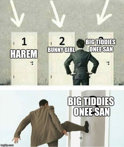 Three doors | BIG TIDDIES ONEE SAN; BUNNY GIRL; HAREM; BIG TIDDIES ONEE SAN | image tagged in three doors | made w/ Imgflip meme maker