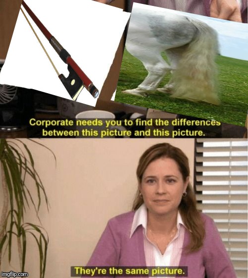 They're The Same Picture | image tagged in corporate needs you to find the differences | made w/ Imgflip meme maker