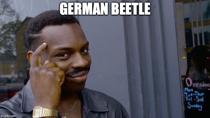 Roll Safe Think About It Meme | GERMAN BEETLE | image tagged in memes,roll safe think about it | made w/ Imgflip meme maker