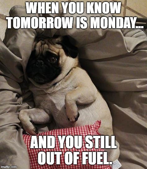 Current mexican situation about fuel.  | WHEN YOU KNOW TOMORROW IS MONDAY... AND YOU STILL OUT OF FUEL. | image tagged in fuel,gas,mexico,pug,scared | made w/ Imgflip meme maker