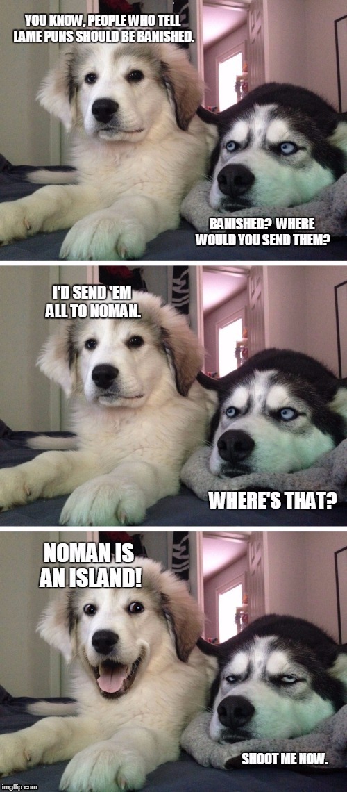 A bad pun is its own punishment. | . | image tagged in save me,bad pun dogs | made w/ Imgflip meme maker