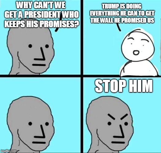 NPC Meme | TRUMP IS DOING EVERYTHING HE CAN TO GET THE WALL HE PROMISED US; WHY CAN'T WE GET A PRESIDENT WHO KEEPS HIS PROMISES? STOP HIM | image tagged in npc meme | made w/ Imgflip meme maker