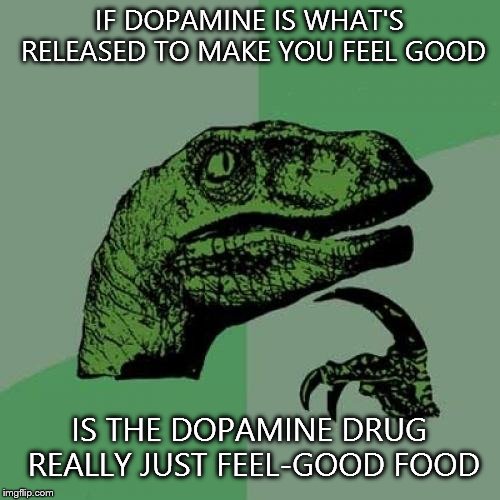 Philosoraptor Meme | IF DOPAMINE IS WHAT'S RELEASED TO MAKE YOU FEEL GOOD; IS THE DOPAMINE DRUG REALLY JUST FEEL-GOOD FOOD | image tagged in memes,philosoraptor | made w/ Imgflip meme maker