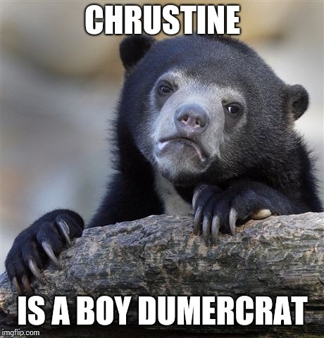Confession Bear Meme | CHRUSTINE; IS A BOY DUMERCRAT | image tagged in memes,confession bear | made w/ Imgflip meme maker