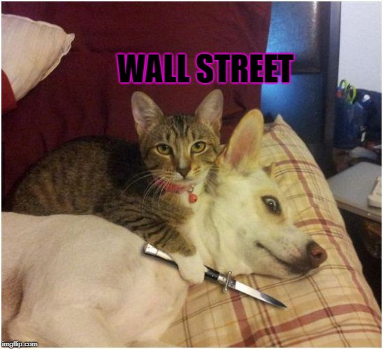 Warning killer cat | WALL STREET | image tagged in warning killer cat | made w/ Imgflip meme maker