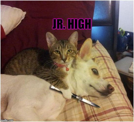 Warning killer cat | JR. HIGH | image tagged in warning killer cat | made w/ Imgflip meme maker