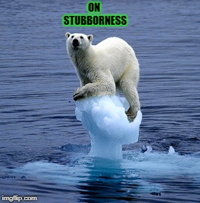 Global Warming Polar Bear | ON STUBBORNESS | image tagged in global warming polar bear | made w/ Imgflip meme maker