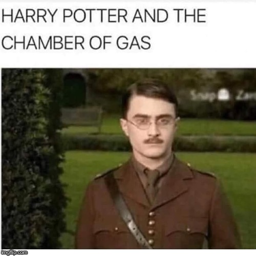 * sighs * guess there were other uses for that wand | image tagged in nazi,harry potter | made w/ Imgflip meme maker