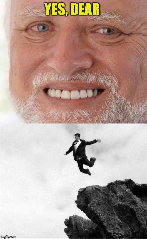 YES, DEAR | image tagged in harold smiling,man jumping off a cliff | made w/ Imgflip meme maker