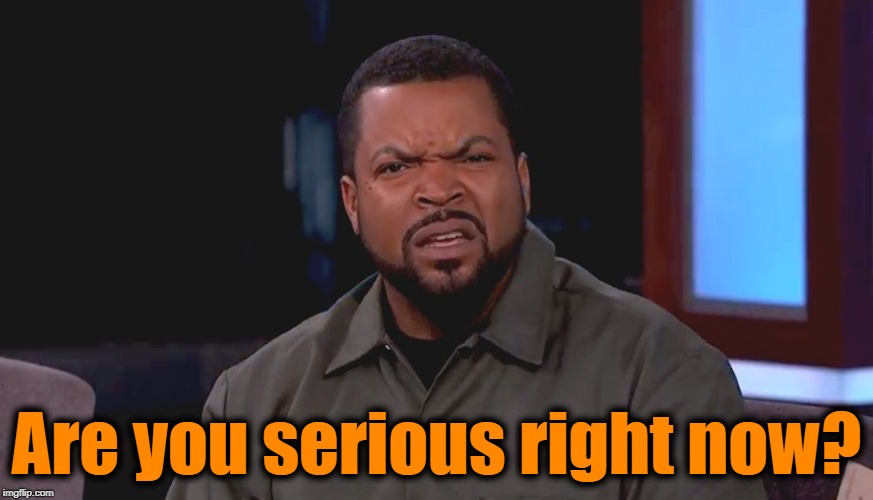 Really? Ice Cube | Are you serious right now? | image tagged in really ice cube | made w/ Imgflip meme maker