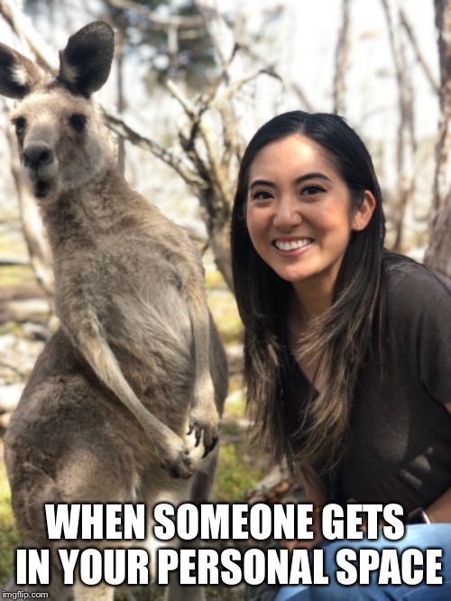 When someone gets in your personal space... | WHEN SOMEONE GETS IN YOUR PERSONAL SPACE | image tagged in nope,space,kangaroo,funny animals | made w/ Imgflip meme maker
