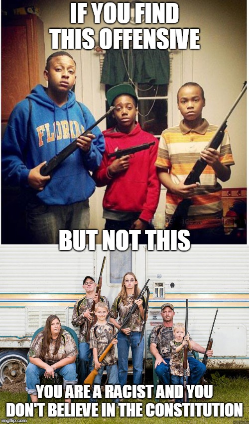 IF YOU FIND THIS OFFENSIVE; BUT NOT THIS; YOU ARE A RACIST AND YOU DON'T BELIEVE IN THE CONSTITUTION | image tagged in 2nd amendment | made w/ Imgflip meme maker