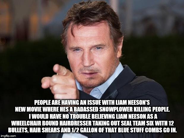 Liam neeson point | PEOPLE ARE HAVING AN ISSUE WITH LIAM NEESON'S NEW MOVIE WHERE HES A BADASSED SNOWPLOWER KILLING PEOPLE.  I WOULD HAVE NO TROUBLE BELIEVING LIAM NEESON AS A WHEELCHAIR BOUND HAIRDRESSER TAKING OUT SEAL TEAM SIX WITH 12 BULLETS, HAIR SHEARS AND 1/2 GALLON OF THAT BLUE STUFF COMBS GO IN. | image tagged in liam neeson point | made w/ Imgflip meme maker