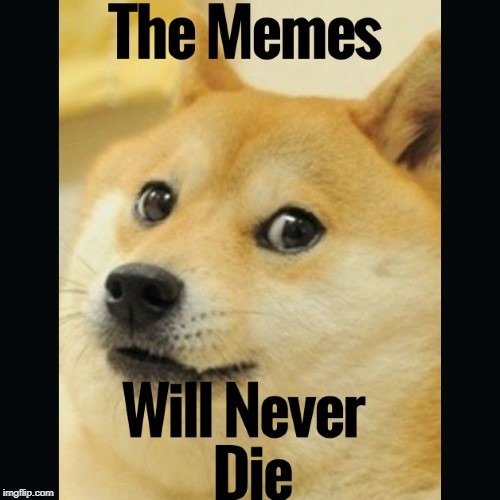 The Memes Will Never Die | image tagged in memes,doge,survivor | made w/ Imgflip meme maker