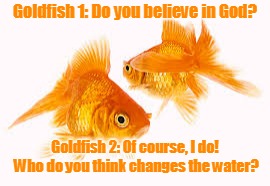 Two goldfish in a bowl talking | Goldfish 1: Do you believe in God? Goldfish 2: Of course, I do! Who do you think changes the water? | image tagged in funny | made w/ Imgflip meme maker