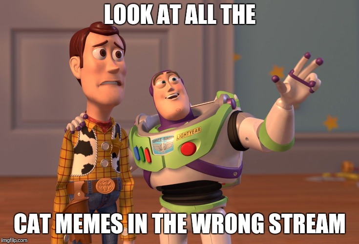 X, X Everywhere Meme | LOOK AT ALL THE CAT MEMES IN THE WRONG STREAM | image tagged in memes,x x everywhere | made w/ Imgflip meme maker