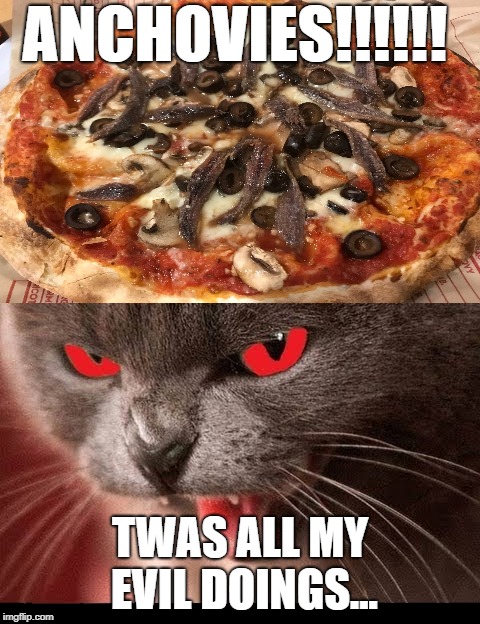 2 star rating | ANCHOVIES!!!!!! TWAS ALL MY EVIL DOINGS... | image tagged in cat,evil cat,pizza | made w/ Imgflip meme maker