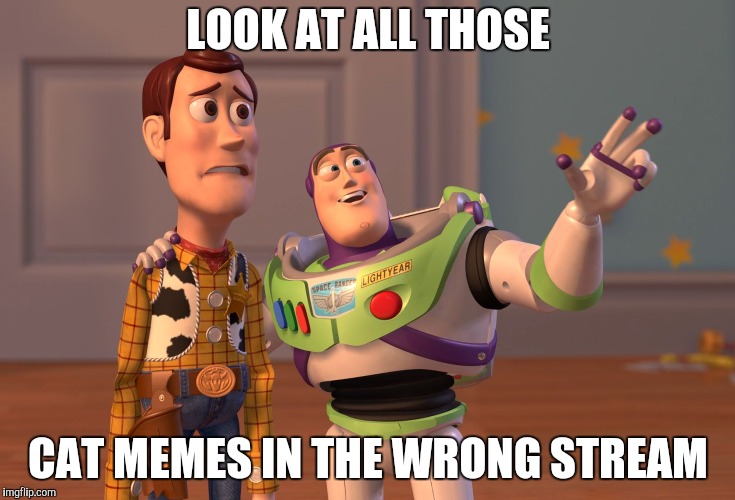 X, X Everywhere Meme | LOOK AT ALL THOSE CAT MEMES IN THE WRONG STREAM | image tagged in memes,x x everywhere | made w/ Imgflip meme maker