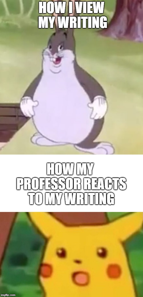 HOW I VIEW MY WRITING; HOW MY PROFESSOR REACTS TO MY WRITING | image tagged in memes,surprised pikachu,big chungus | made w/ Imgflip meme maker