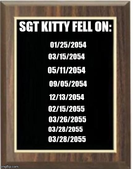 A hero of the great House Pet War of 2053-2055  | SGT KITTY FELL ON:; 01/25/2054; 03/15/2054; 05/11/2054; 09/05/2054; 12/13/2054; 02/15/2055; 03/26/2055; 03/28/2055; 03/28/2055 | image tagged in blank plaque,cats,dogs | made w/ Imgflip meme maker