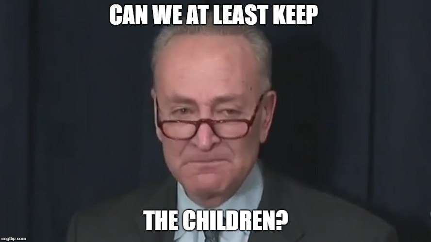 Chuck Schumer Crying | CAN WE AT LEAST KEEP; THE CHILDREN? | image tagged in chuck schumer crying | made w/ Imgflip meme maker
