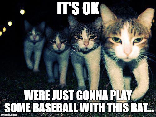 Wrong Neighboorhood Cats | IT'S OK; WERE JUST GONNA PLAY SOME BASEBALL WITH THIS BAT... | image tagged in memes,wrong neighboorhood cats | made w/ Imgflip meme maker