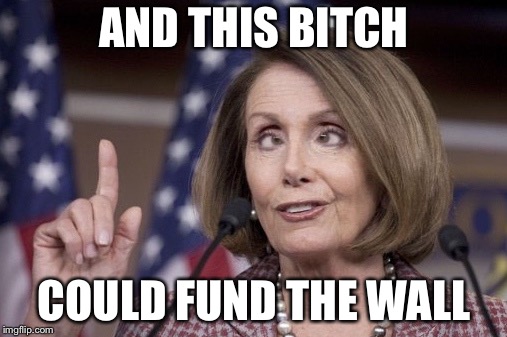 Nancy pelosi | AND THIS B**CH COULD FUND THE WALL | image tagged in nancy pelosi | made w/ Imgflip meme maker