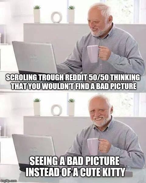 Hide the Pain Harold Meme | SCROLING TROUGH REDDIT 50/50 THINKING THAT YOU WOULDN'T FIND A BAD PICTURE; SEEING A BAD PICTURE INSTEAD OF A CUTE KITTY | image tagged in memes,hide the pain harold | made w/ Imgflip meme maker