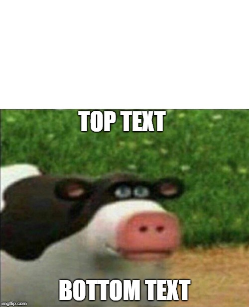 Perhaps cow | TOP TEXT; BOTTOM TEXT | image tagged in perhaps cow | made w/ Imgflip meme maker