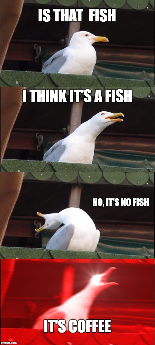 Inhaling Seagull Meme | IS THAT  FISH; I THINK IT'S A FISH; NO, IT'S NO FISH; IT'S COFFEE | image tagged in memes,inhaling seagull | made w/ Imgflip meme maker