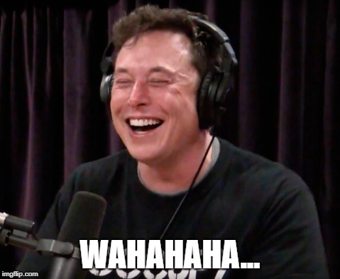 Elon Musk high laughing | WAHAHAHA... | image tagged in elon musk,high,laughing | made w/ Imgflip meme maker