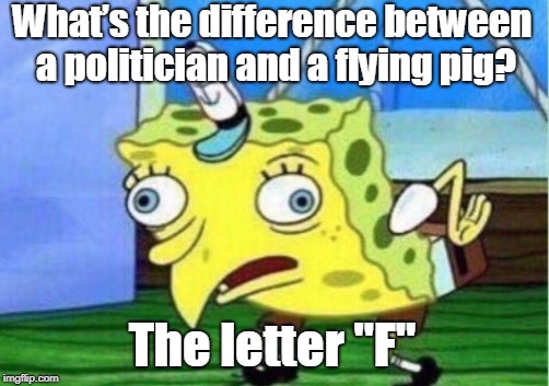 Mocking Spongebob | What’s the difference between a politician and a flying pig? The letter "F" | image tagged in memes,mocking spongebob | made w/ Imgflip meme maker