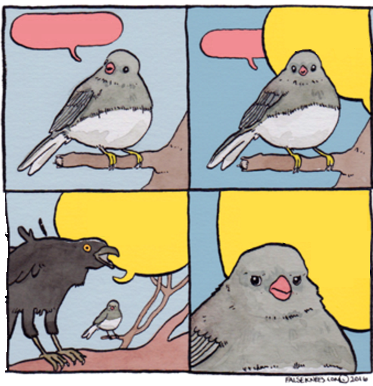 Bird and crow Blank Meme Template