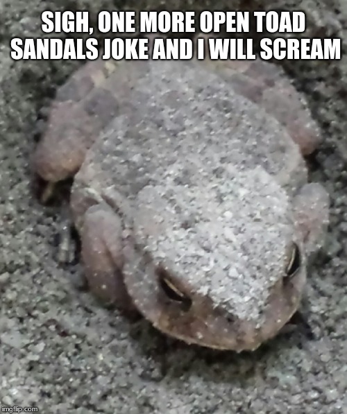 Start your day with a smile, kiss a toad.  | SIGH, ONE MORE OPEN TOAD SANDALS JOKE AND I WILL SCREAM | image tagged in toad,prince,smile | made w/ Imgflip meme maker