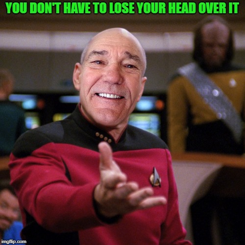 wtf picard kewlew | YOU DON'T HAVE TO LOSE YOUR HEAD OVER IT | image tagged in wtf picard kewlew | made w/ Imgflip meme maker