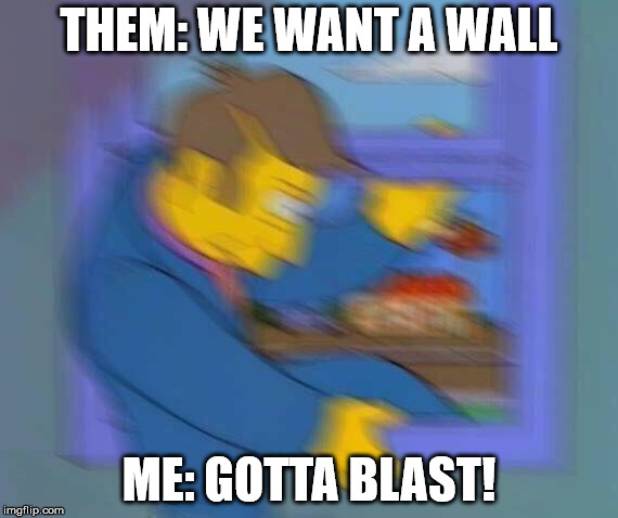 Skinner fit | THEM: WE WANT A WALL; ME: GOTTA BLAST! | image tagged in skinner fit | made w/ Imgflip meme maker