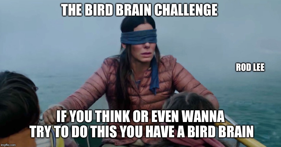 Bird box challenge  | THE BIRD BRAIN CHALLENGE; ROD LEE; IF YOU THINK OR EVEN WANNA TRY TO DO THIS YOU HAVE A BIRD BRAIN | image tagged in bird box,funny memes | made w/ Imgflip meme maker