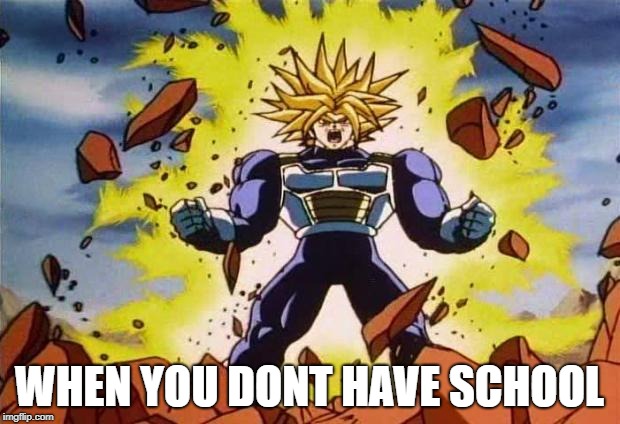 Dragon ball z | WHEN YOU DONT HAVE SCHOOL | image tagged in dragon ball z | made w/ Imgflip meme maker