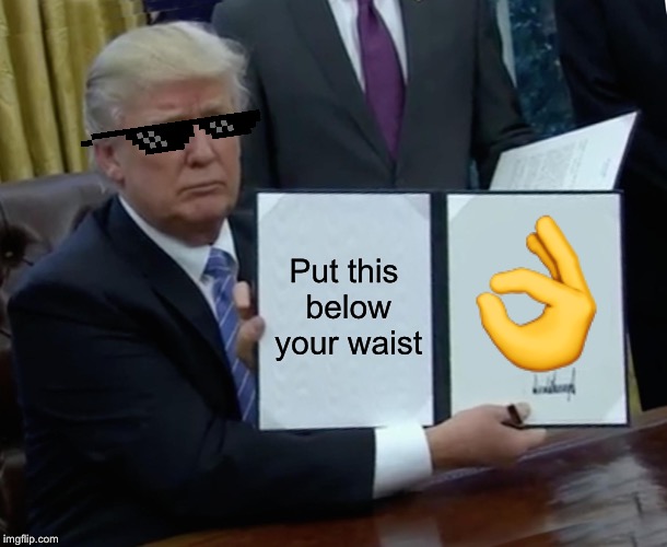 Donald Trump SAVAGE | Put this below your waist; 👌 | image tagged in memes,trump bill signing | made w/ Imgflip meme maker
