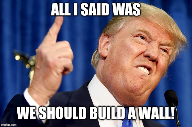 Donald Trump | ALL I SAID WAS WE SHOULD BUILD A WALL! | image tagged in donald trump | made w/ Imgflip meme maker