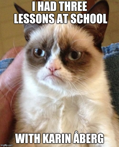 Grumpy Cat Meme | I HAD THREE LESSONS AT SCHOOL; WITH KARIN ÅBERG | image tagged in memes,grumpy cat | made w/ Imgflip meme maker