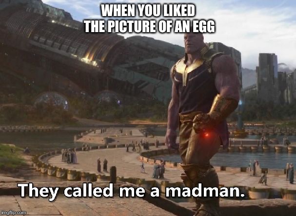 Thanos they called me a madman | WHEN YOU LIKED THE PICTURE OF AN EGG | image tagged in thanos they called me a madman | made w/ Imgflip meme maker