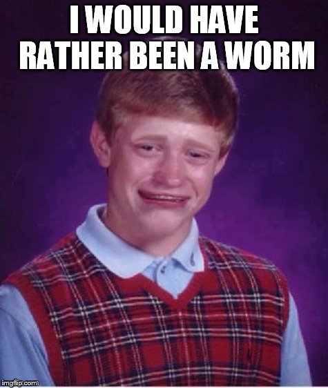 Sad brian | I WOULD HAVE RATHER BEEN A WORM | image tagged in sad brian | made w/ Imgflip meme maker