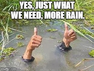 FLOODING THUMBS UP | YES, JUST WHAT WE NEED, MORE RAIN. | image tagged in flooding thumbs up | made w/ Imgflip meme maker