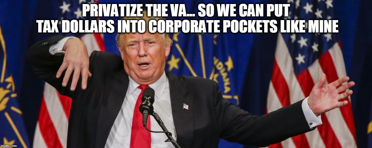 Wealth redistribution  - From you to them  | PRIVATIZE THE VA... SO WE CAN PUT TAX DOLLARS INTO CORPORATE POCKETS LIKE MINE | image tagged in politics,veterans,theft,trump,maga | made w/ Imgflip meme maker