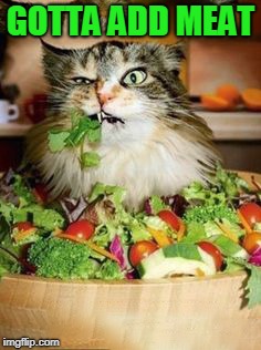 salad-cat | GOTTA ADD MEAT | image tagged in salad-cat | made w/ Imgflip meme maker