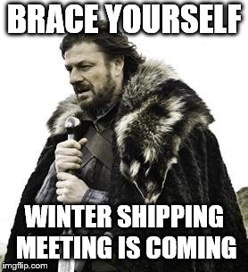 ned stark | BRACE YOURSELF; WINTER SHIPPING MEETING IS COMING | image tagged in ned stark | made w/ Imgflip meme maker