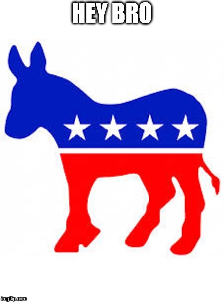 Democrat donkey | HEY BRO | image tagged in democrat donkey | made w/ Imgflip meme maker