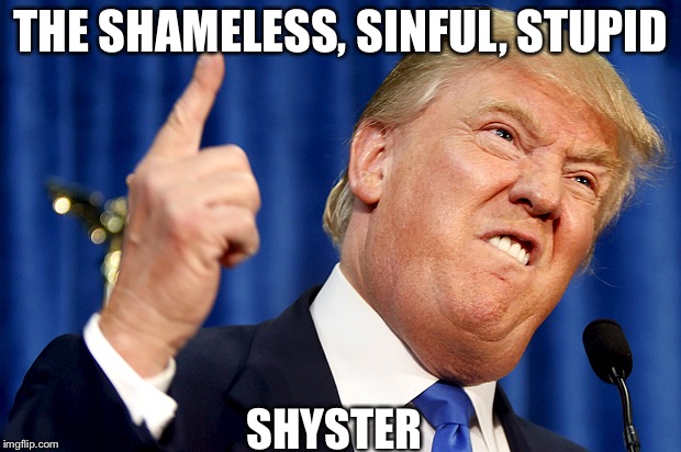 Donald Trump | THE SHAMELESS, SINFUL, STUPID; SHYSTER | image tagged in donald trump | made w/ Imgflip meme maker